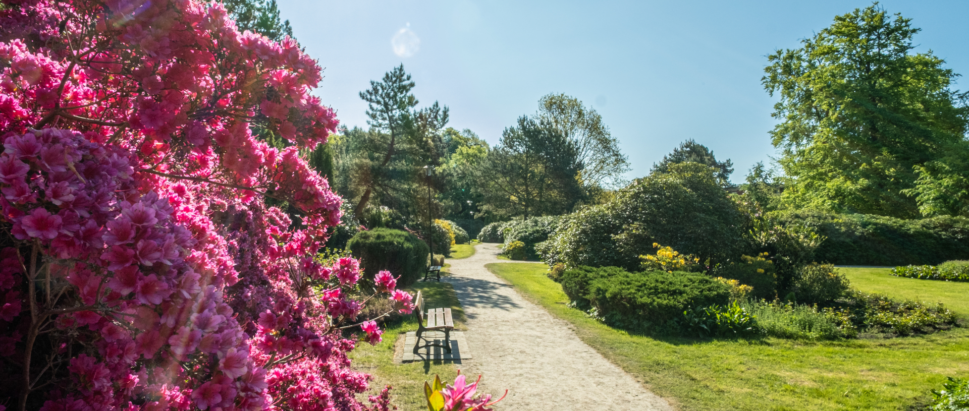 © MV-T, Scholz-Witzel