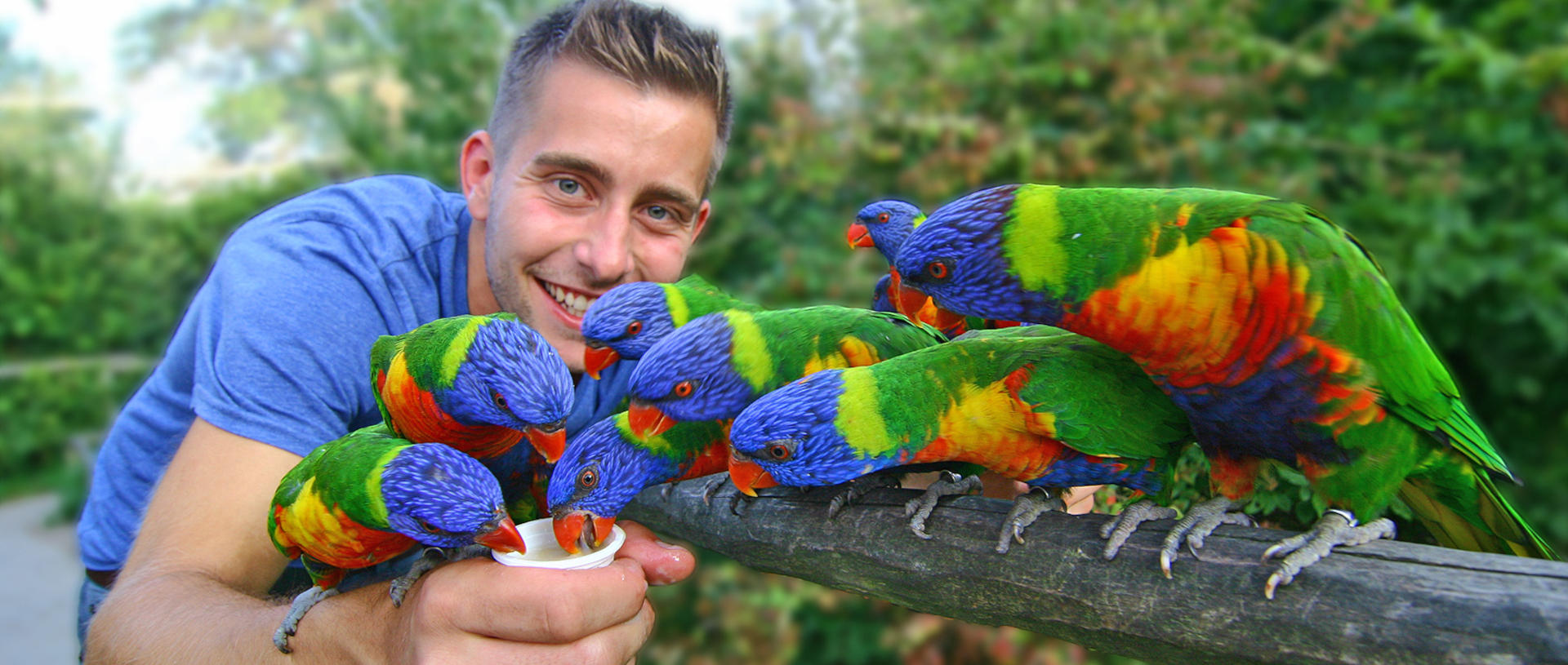 © Vogelpark Marlow, Haase