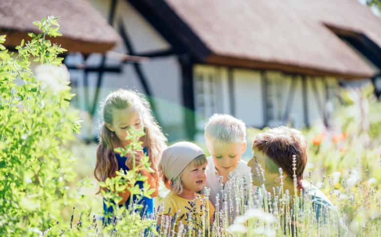 Im Garten des Freilichtmuseums Klockenhagen © MV-T, Gänsicke