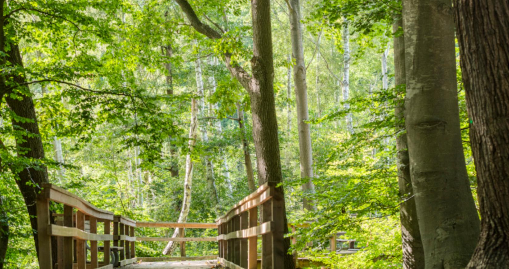 © André Pristaff, Tourismus- und Kur GmbH Graal-Müritz