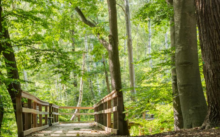 © André Pristaff, Tourismus- und Kur GmbH Graal-Müritz