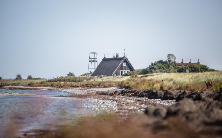 © Liene Photografie Nadine Sorgenfried