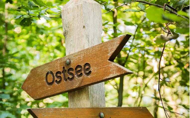 Wegweiser im Wald © TuK GmbH Graal-Müritz, AP