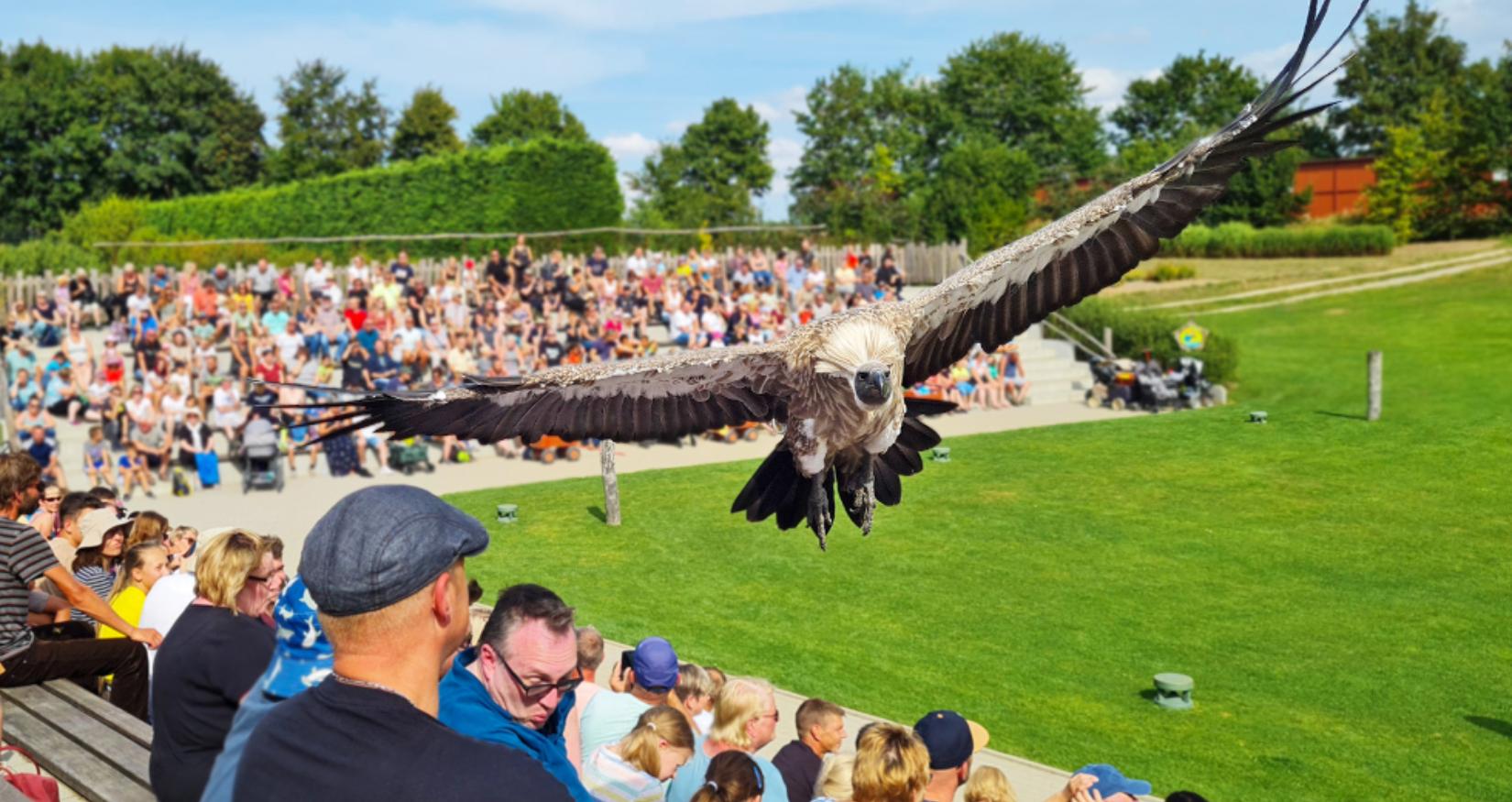 © Vogelpark Marlow, Haase