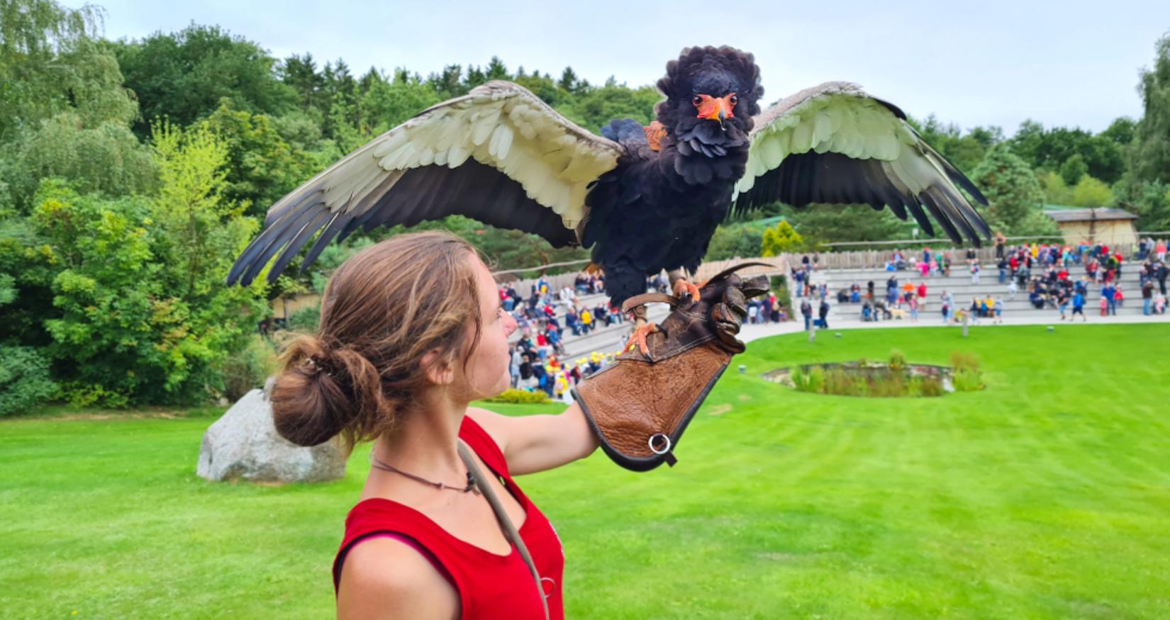 © Vogelpark Marlow, Haase