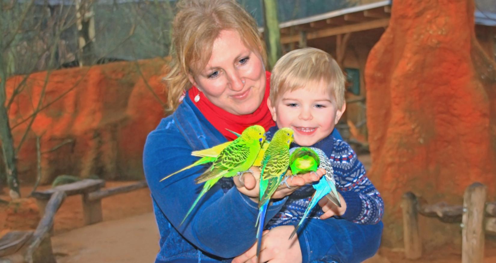 © Vogelpark Marlow, Haase