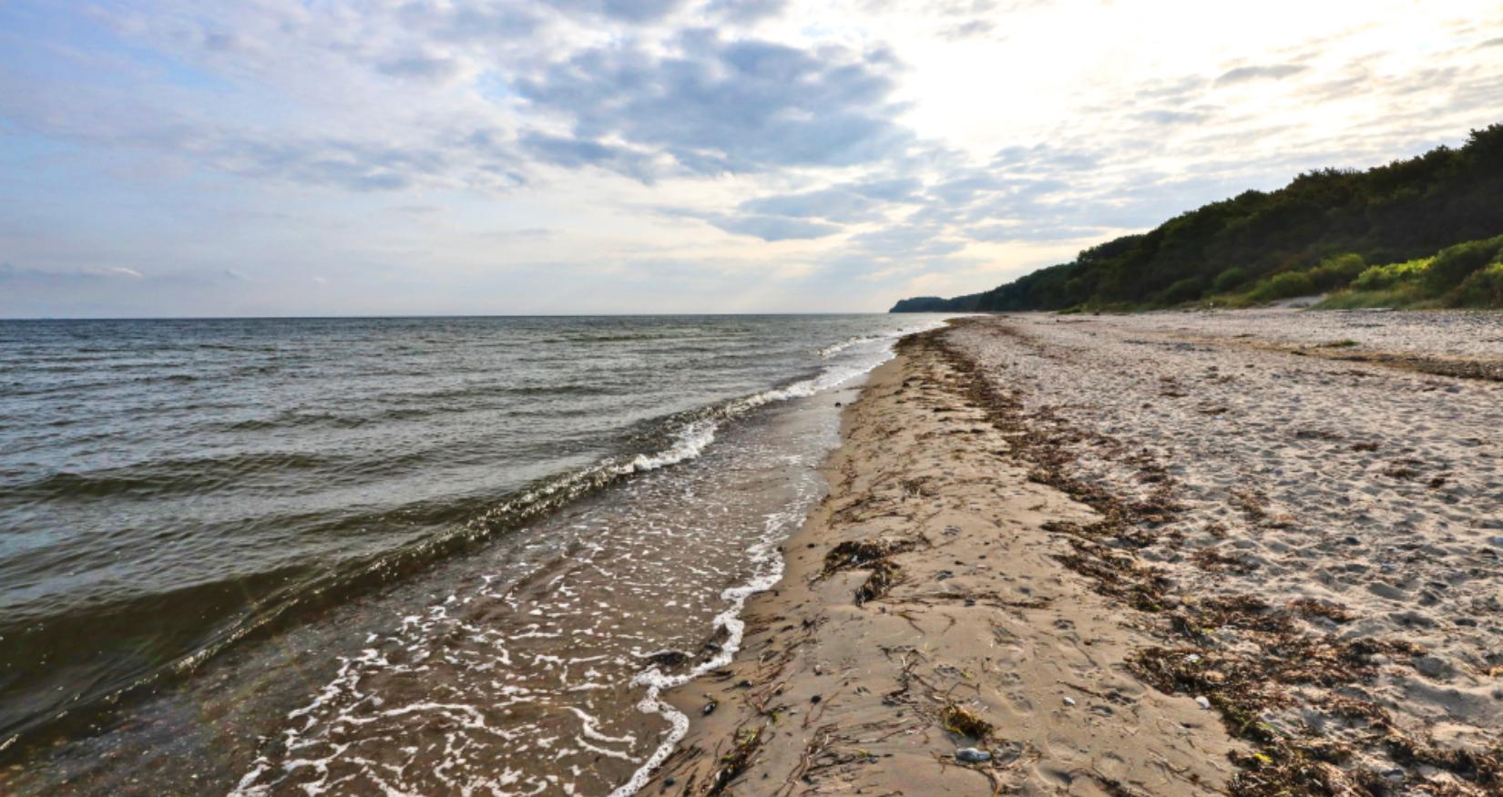 © TMV, Danny Gohlke