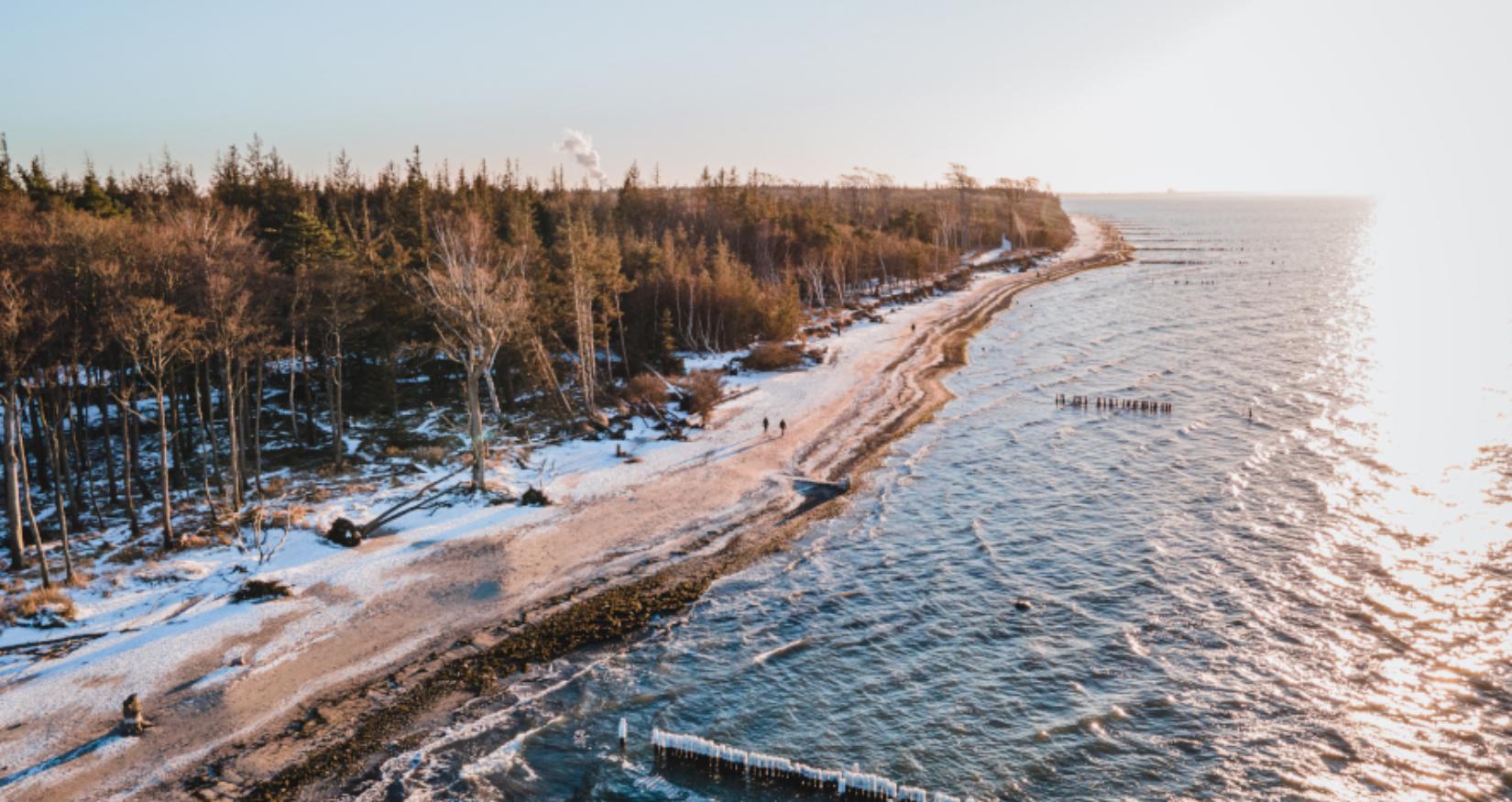 © TMV, Scholz-Witzel