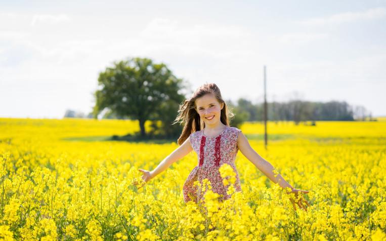 canola field