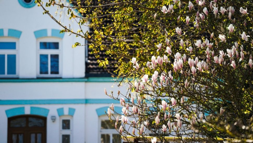 Typical house in Börgerende, © VMO, Alexander Rudolph