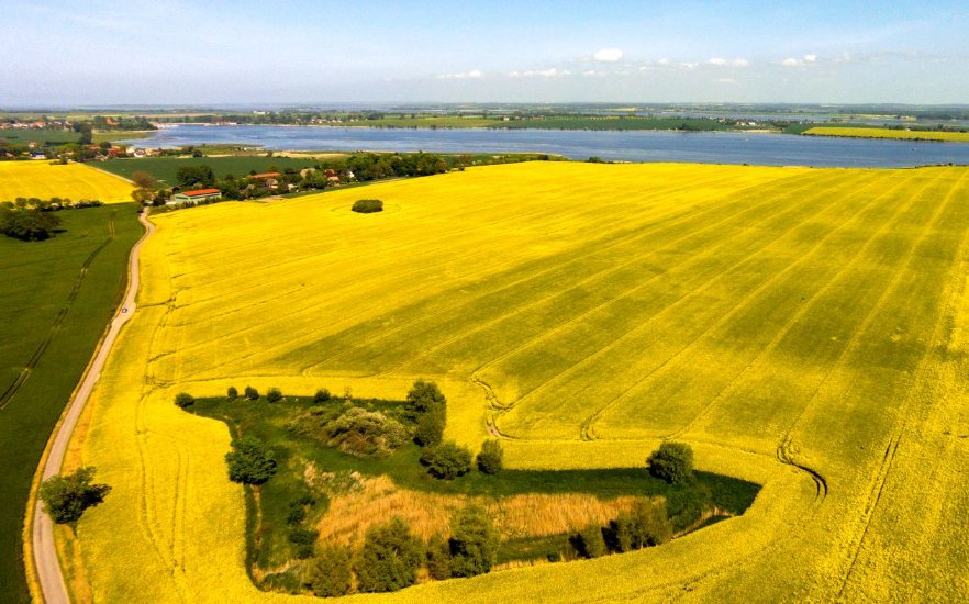 Beautiful view on the Island of Poel at rape bloom, © Flugagentur MV_Alexander Rudolph DOMUSimages Fotografie & Film