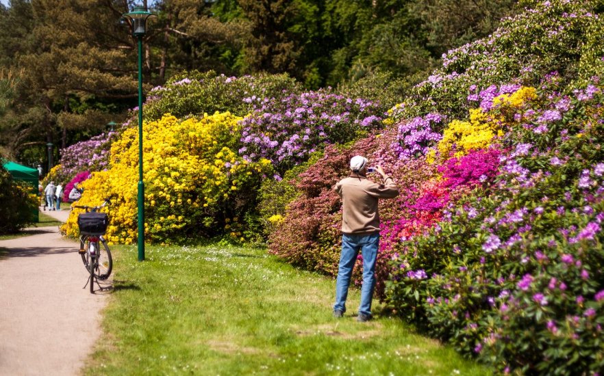 One of the most popular photographs - Rhododendronpark, © VMO, Alexander Rudolph