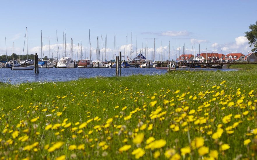View to the 'Salzhaff', © Kurverwaltung Ostseebad Rerik, Herrmann