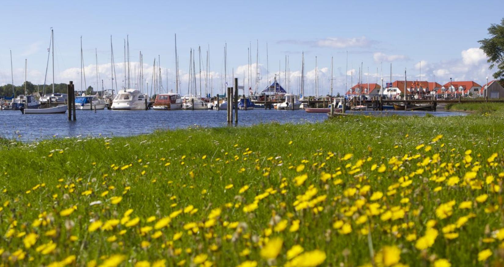 © Kurverwaltung Ostseebad Rerik, Herrmann