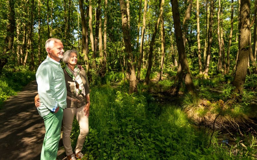 Walk through the moor, © TuK GmbH Graal-Müritz, Alexander Rudolph