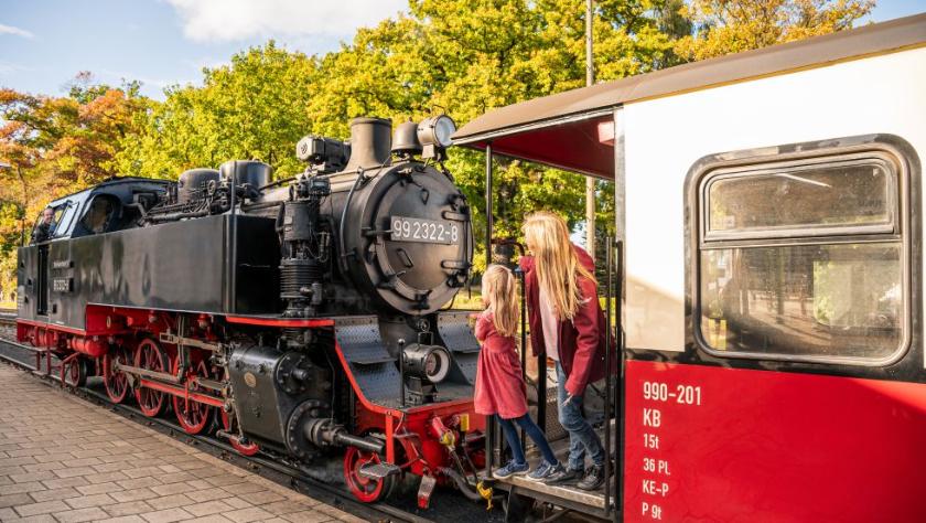 Molli-Fahrt zwischen Bad Doberan und Heiligendamm © TMV, Tiemann
