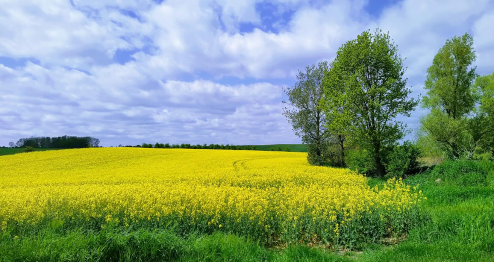 © Sabine Stöckmann