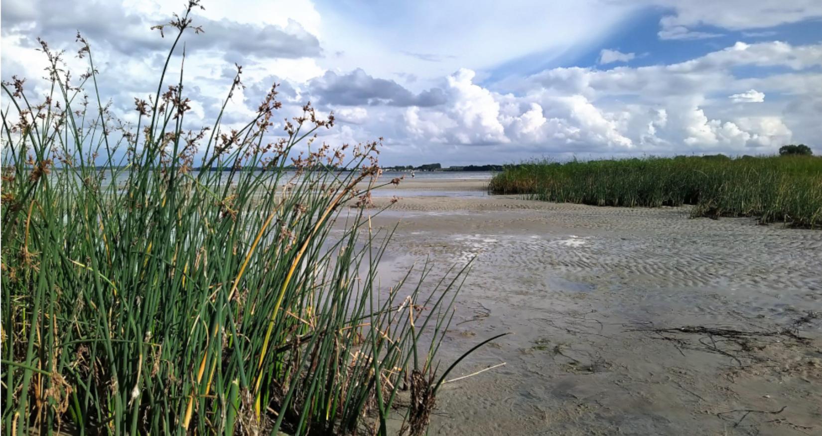 Wohlenberger Strand © Stöckmann